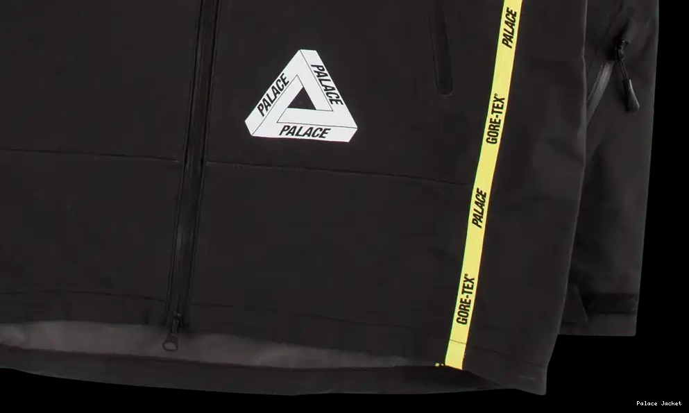 Palace Gore-Tex Jacket Palex 0616